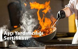 Aşçı Yardımcılığı Sertifikası