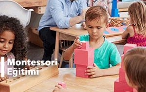 Montessori Eğitimi