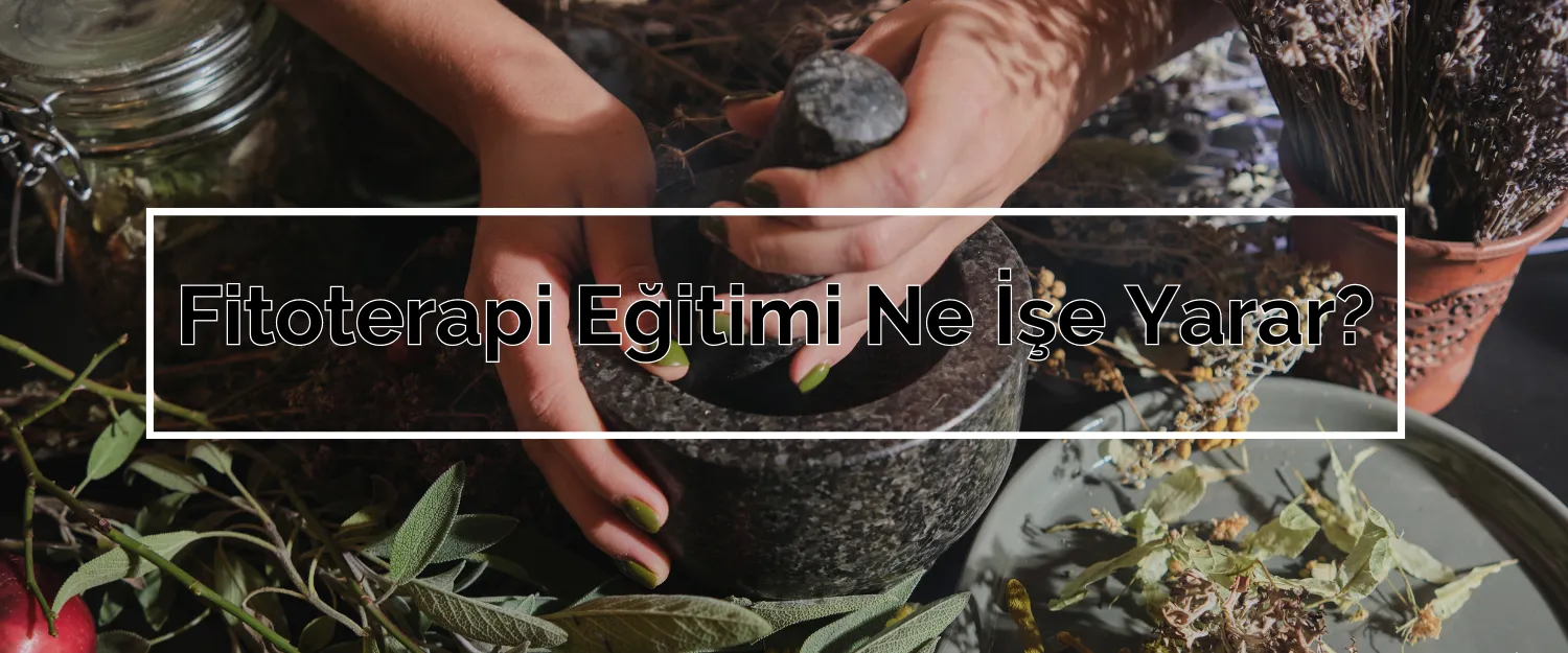 Fitoterapi Eğitimi Ne İşe Yarar?