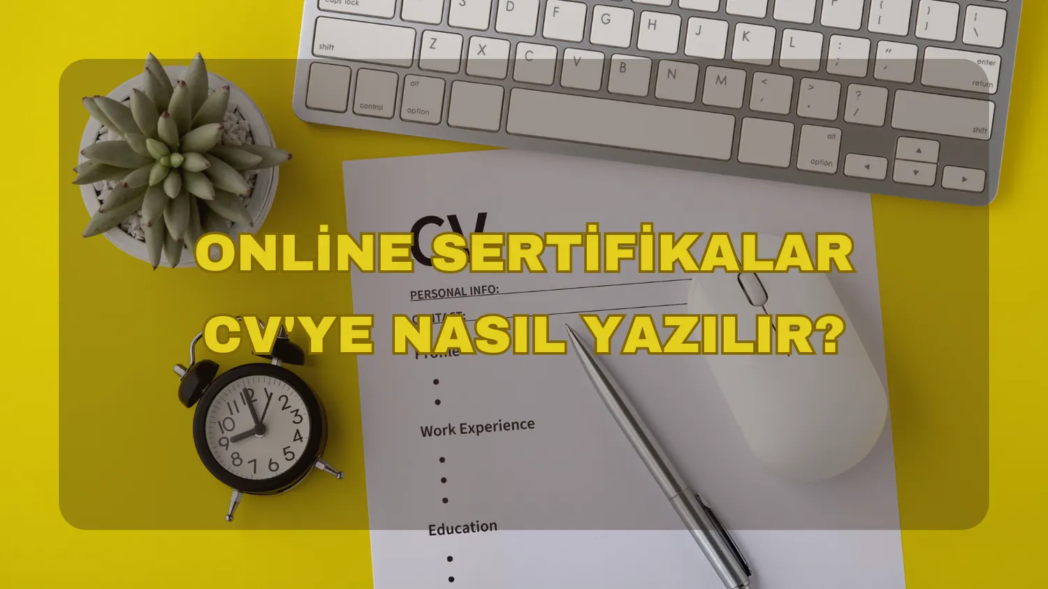 Online Sertifikalar CV'ye Nasıl Yazılır