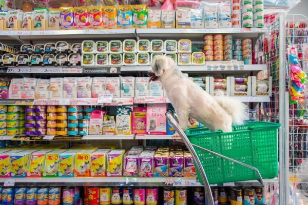 Petshop Sertifikası