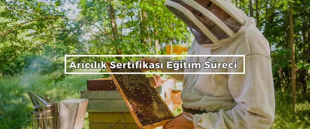 Aricilik Sertifikasi Egitim Sureci 2
