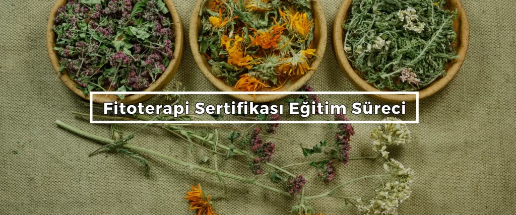 Fitoterapi Sertifikası 2 Fitoterapi Sertifikasi Egitim Sureci