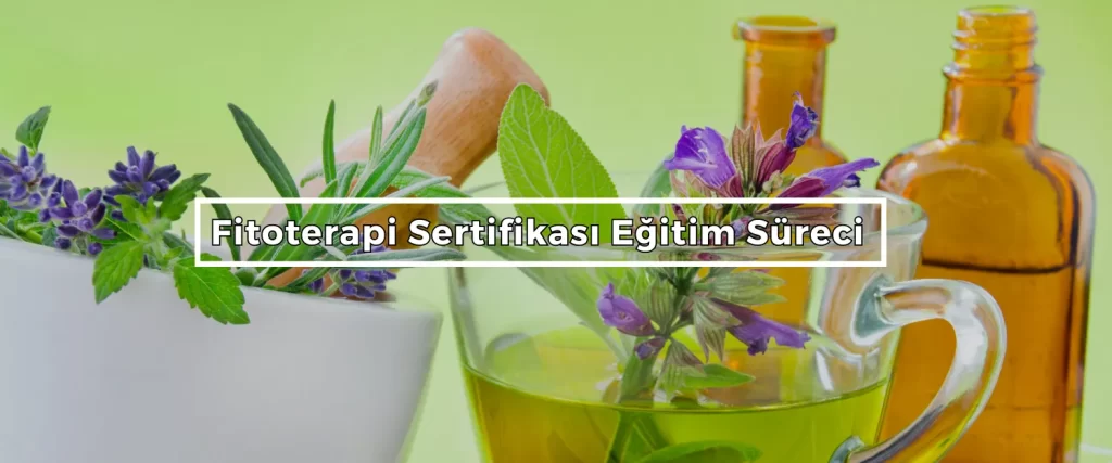 Fitoterapi Sertifikasi Egitim Sureci 2