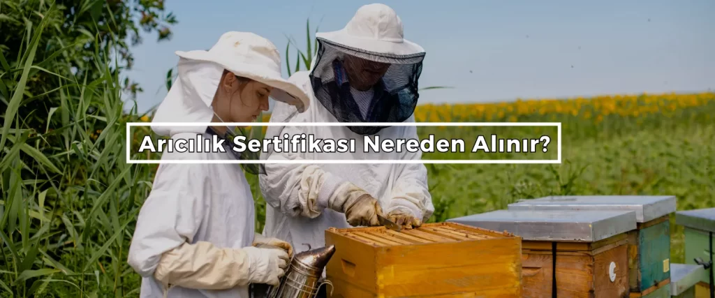 Aricilik Sertifikasi Nereden Alinir