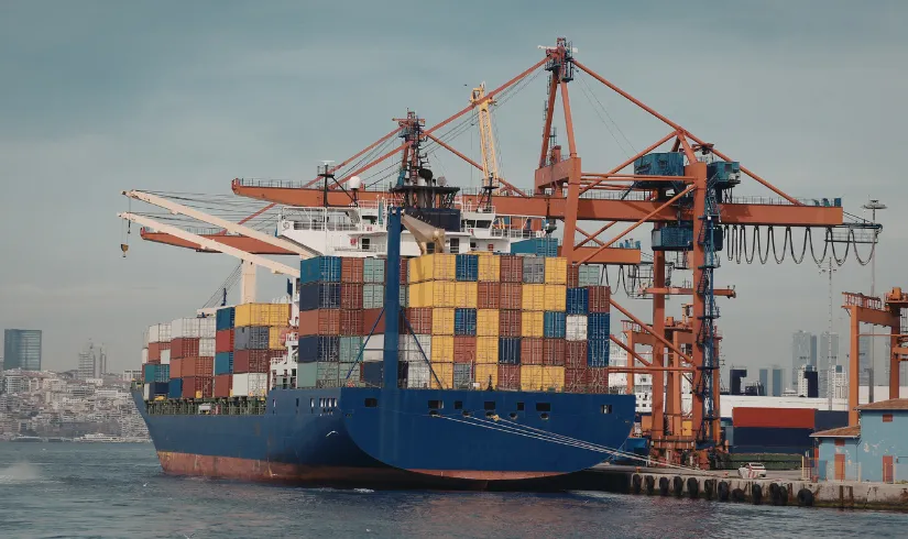 Liman Isletme Saha Calisani Belgesi Nedir