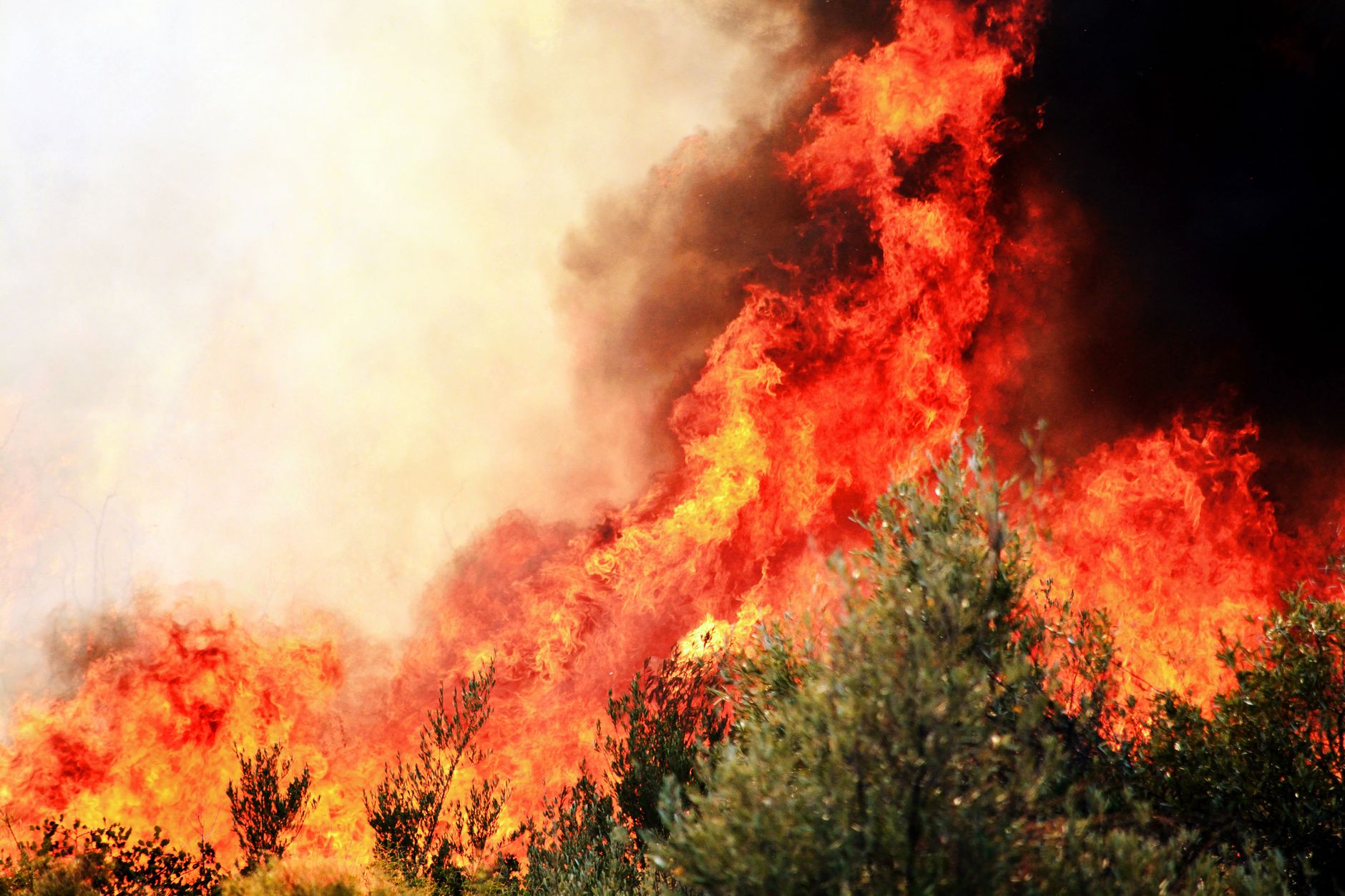 Yangın Eğitici Eğitimi Seviye - 3 Sertifikası 1 A forest fire with dramatic flames in Demre, Türkiye highlighting environmental concerns.